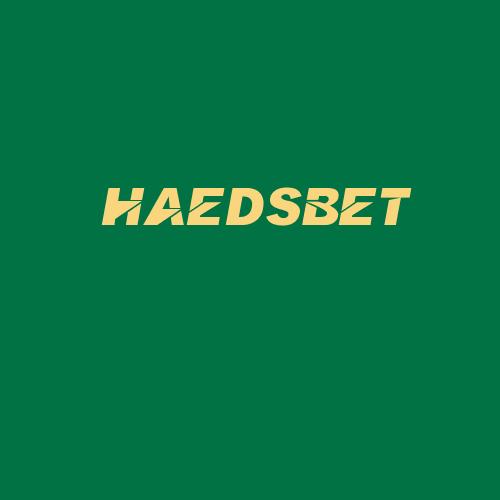 Logo da HAEDSBET